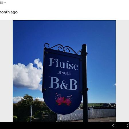 Fiuise B&B Dingle Exteriör bild