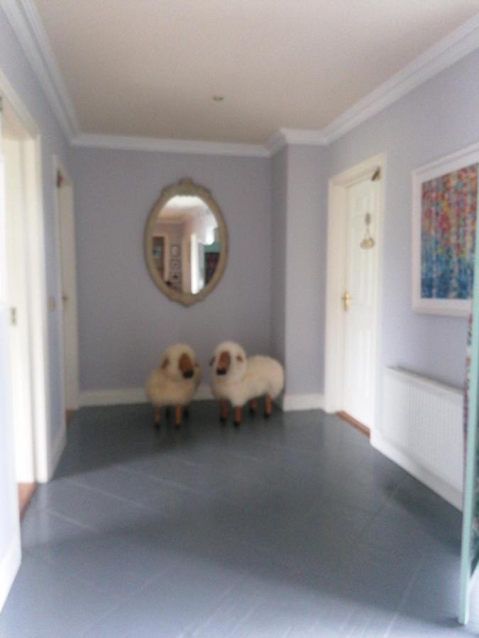 Fiuise B&B Dingle Exteriör bild