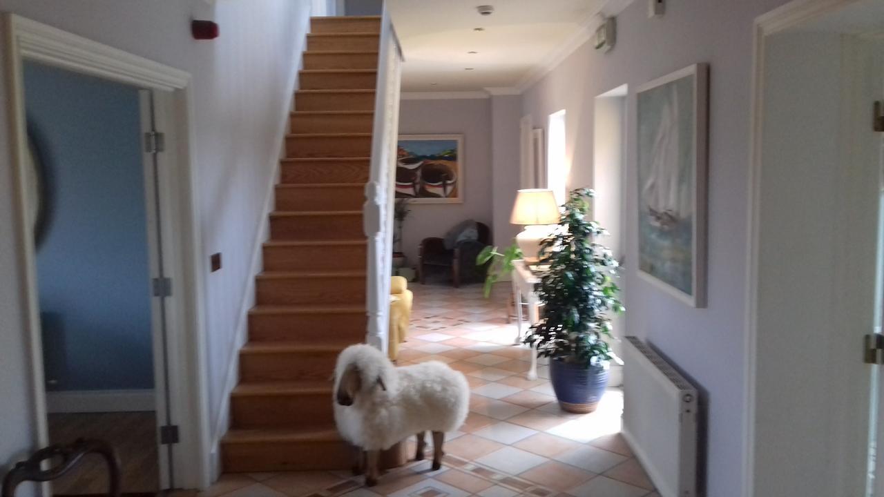 Fiuise B&B Dingle Exteriör bild